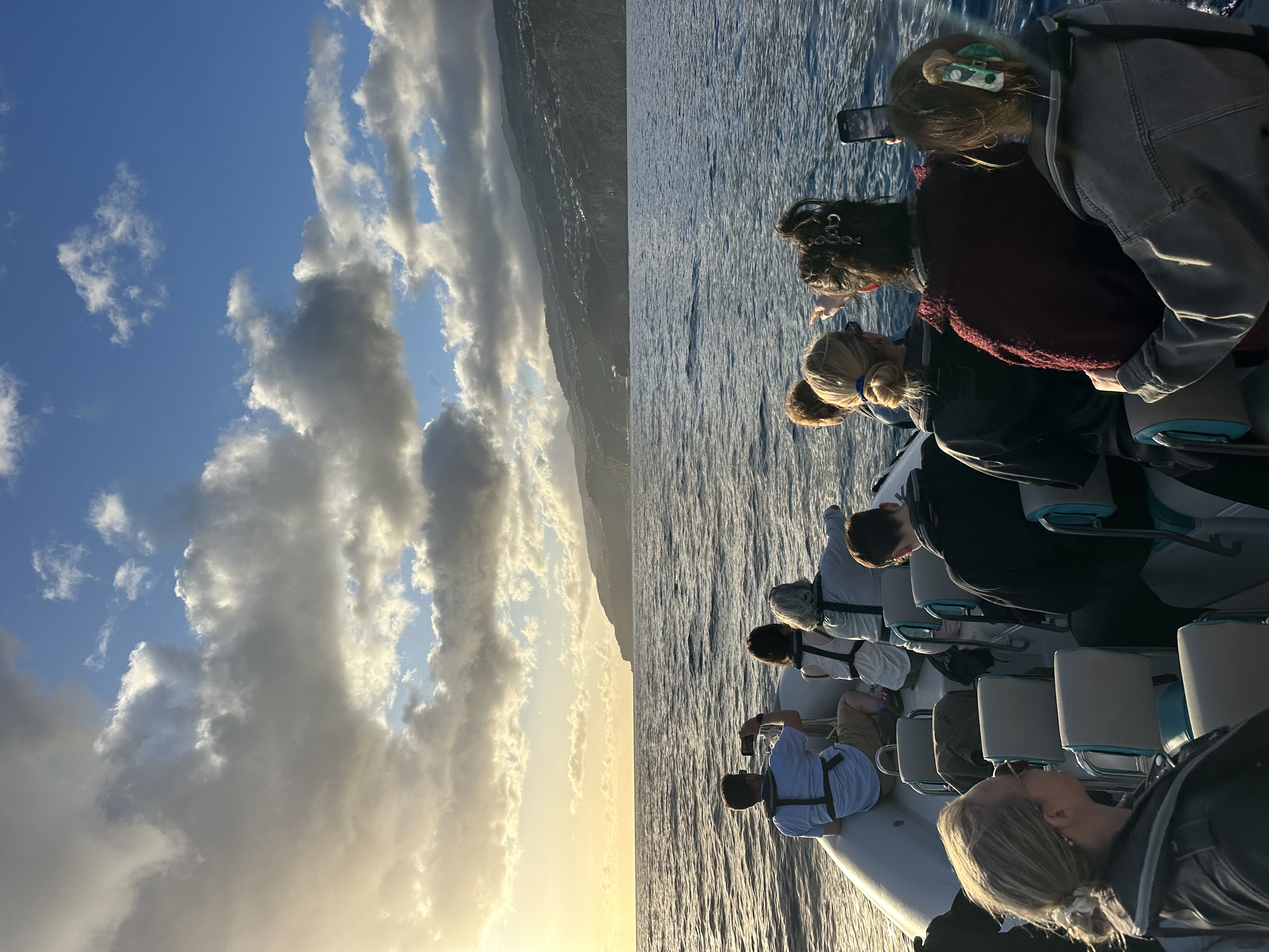 Puesta de sol en barco por Funchal con opción de avistamiento de cetáceos