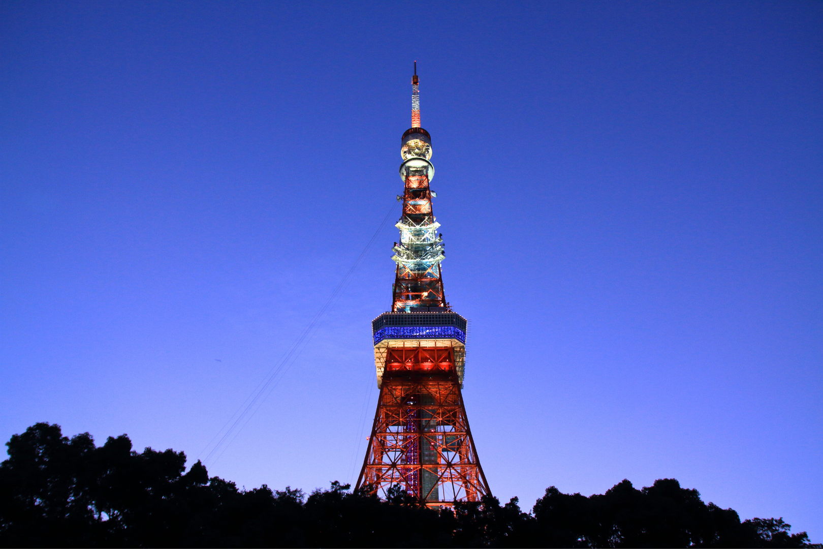Tokyo Layover | Classic Night View Tour- Roppongi hills & Shibakoen