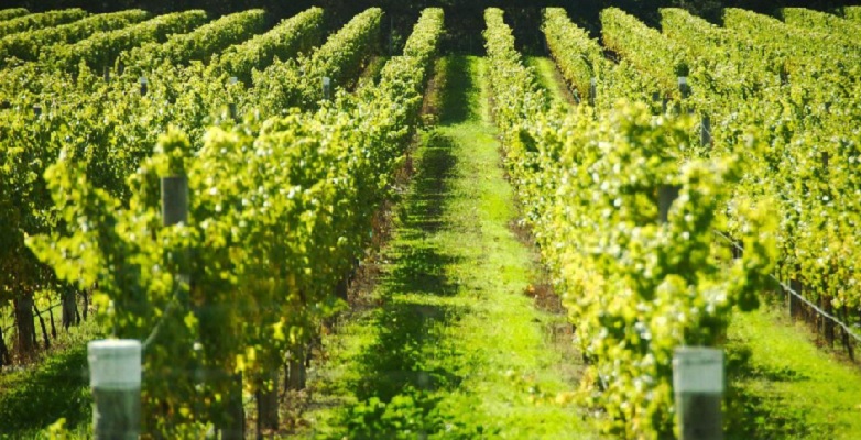Tuscany4You | Independent Tour with Shared Daily Excursions | 8days/7nights - Photo 14