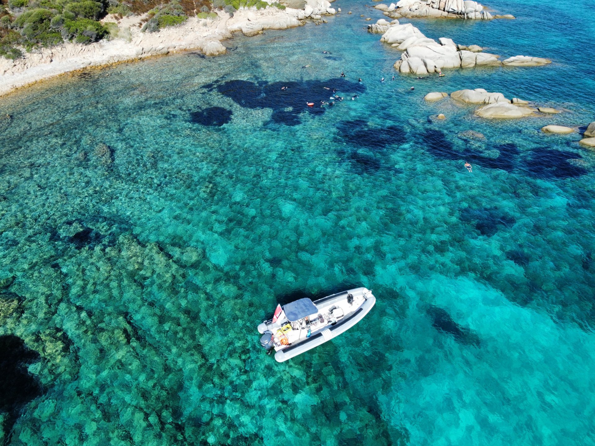 From Puntaldia or San Teodoro: snorkeling at the Molara Pools - Photo 5