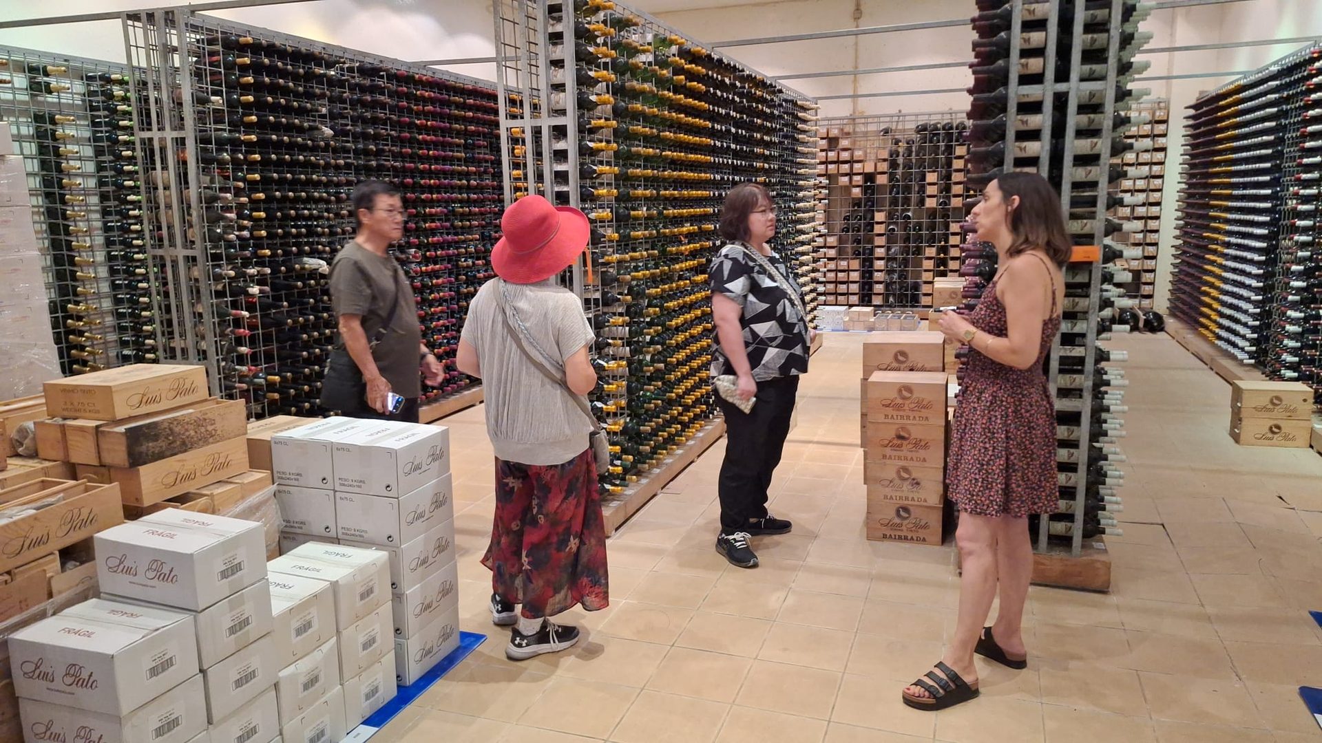 Aveiro & Bairrada Private Day Tour with Salt Pans and Sparkling Wine - Photo 13