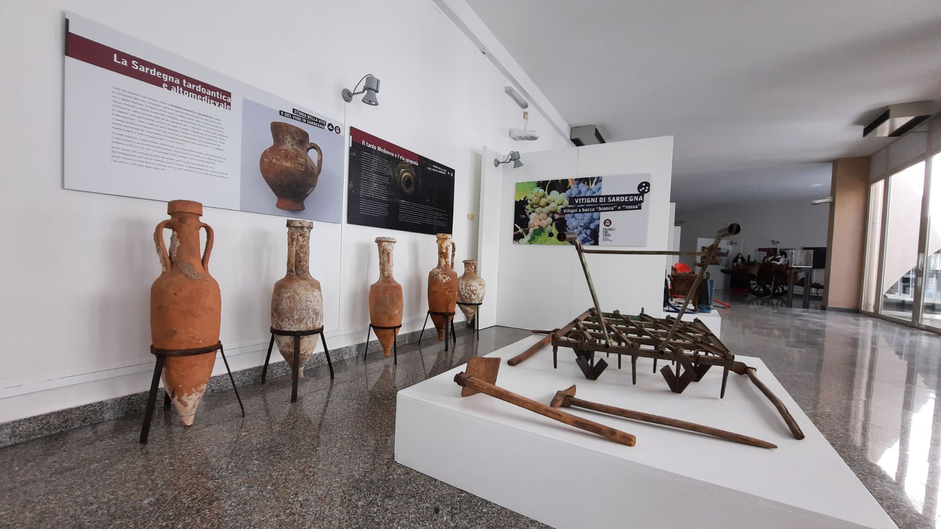 Berchidda: visit to the Wine Museum with tasting - Photo 2