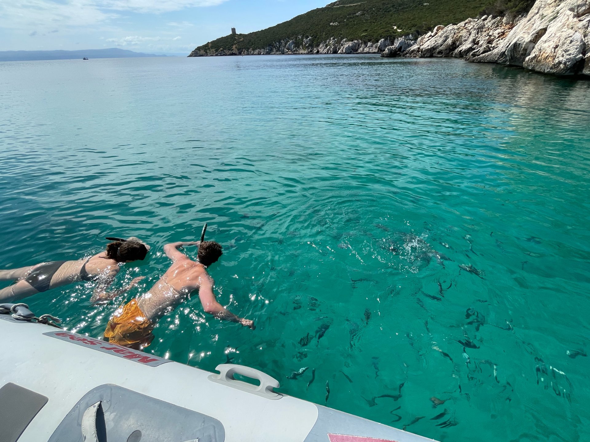 Alghero: dinghy tour with snorkeling in Porto Conte and Capo Caccia - Photo 14