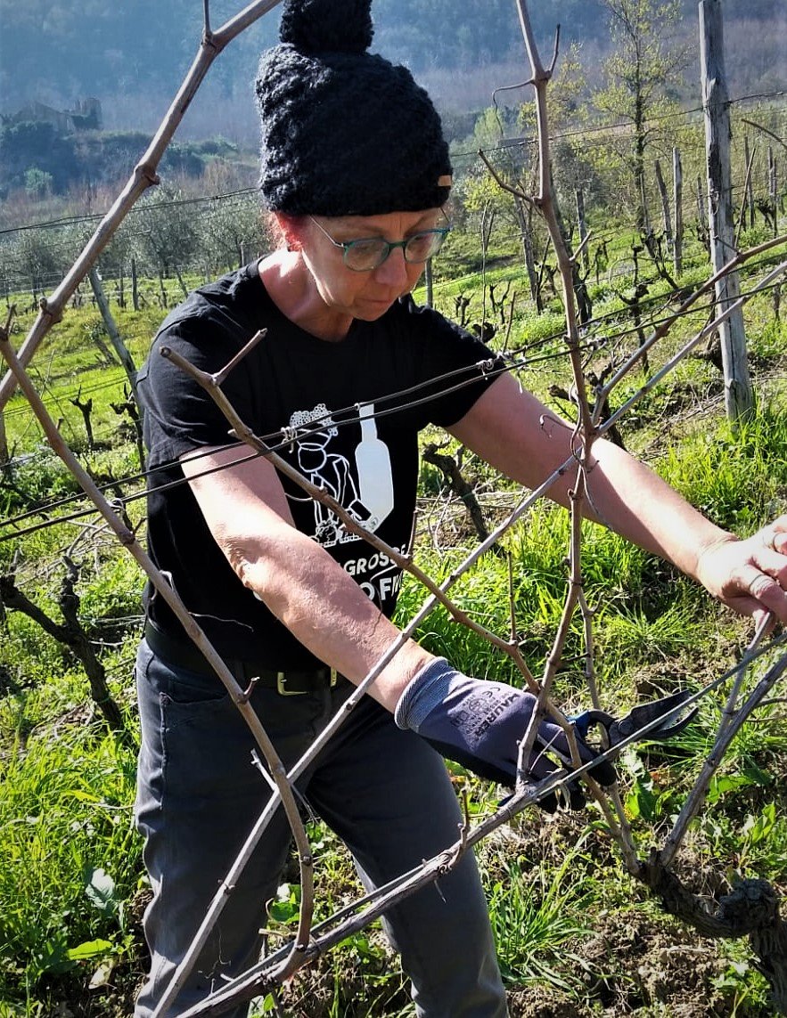 Sant'Agata de' Goti: Wine Tasting and Cellars visit  - Photo 8