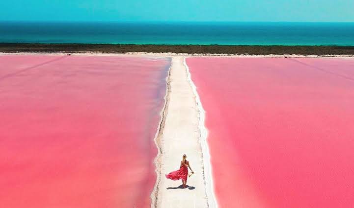 Excursion a las Coloradas y Río Lagartos 4