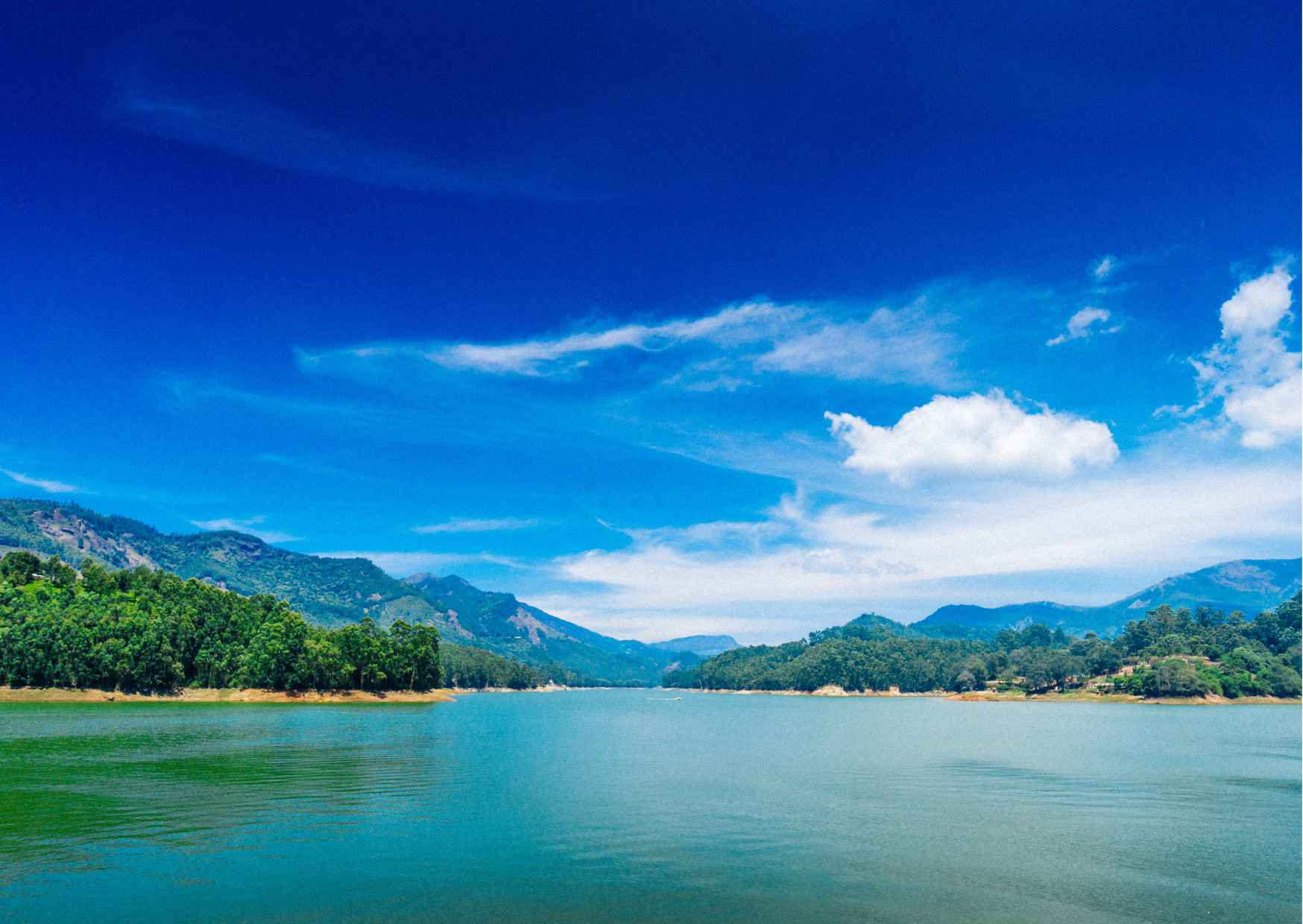 Day Trip to Munnar (Guided Sightseeing Tour by Car from Madurai) - Photo 8