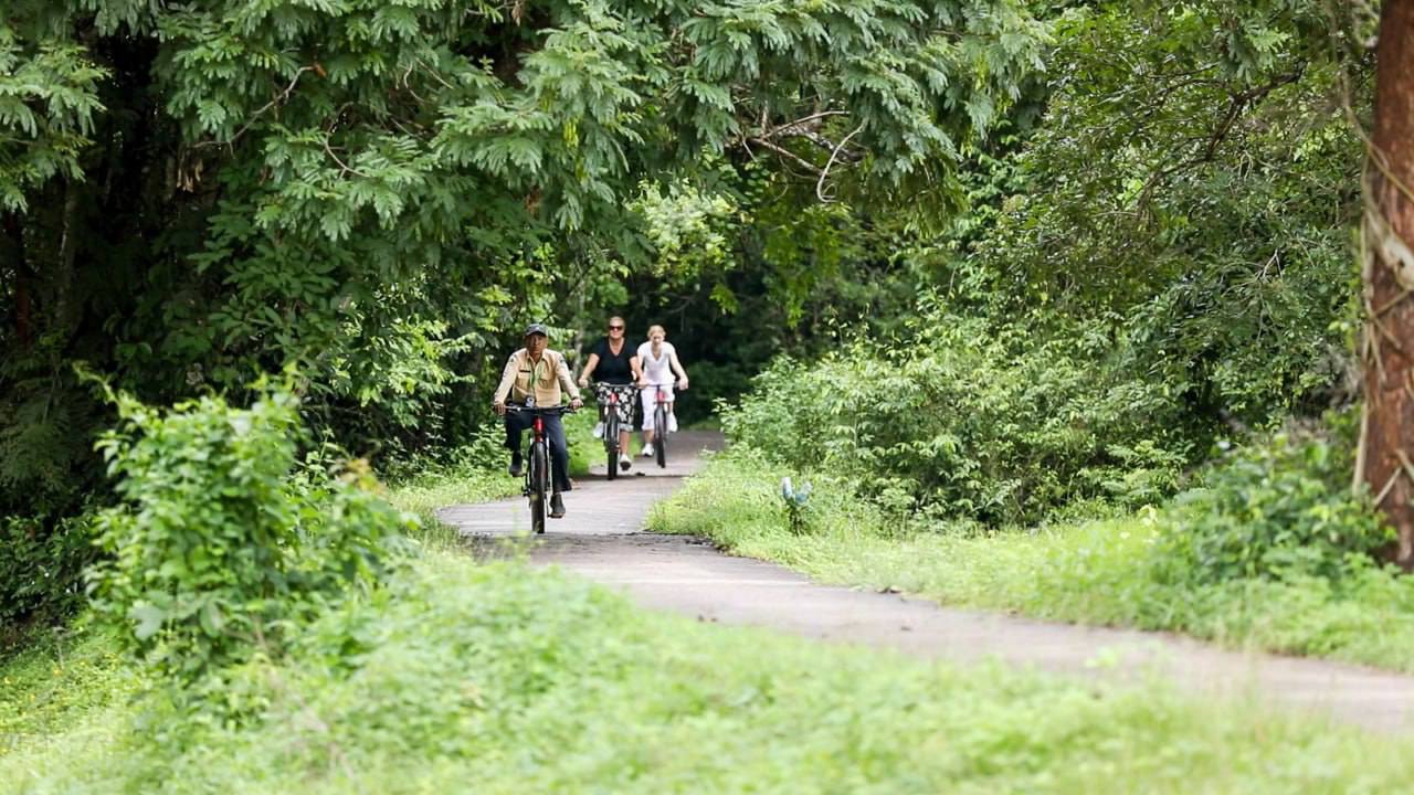 Angkor Jungle Biking Adventure Private Cycling Tour