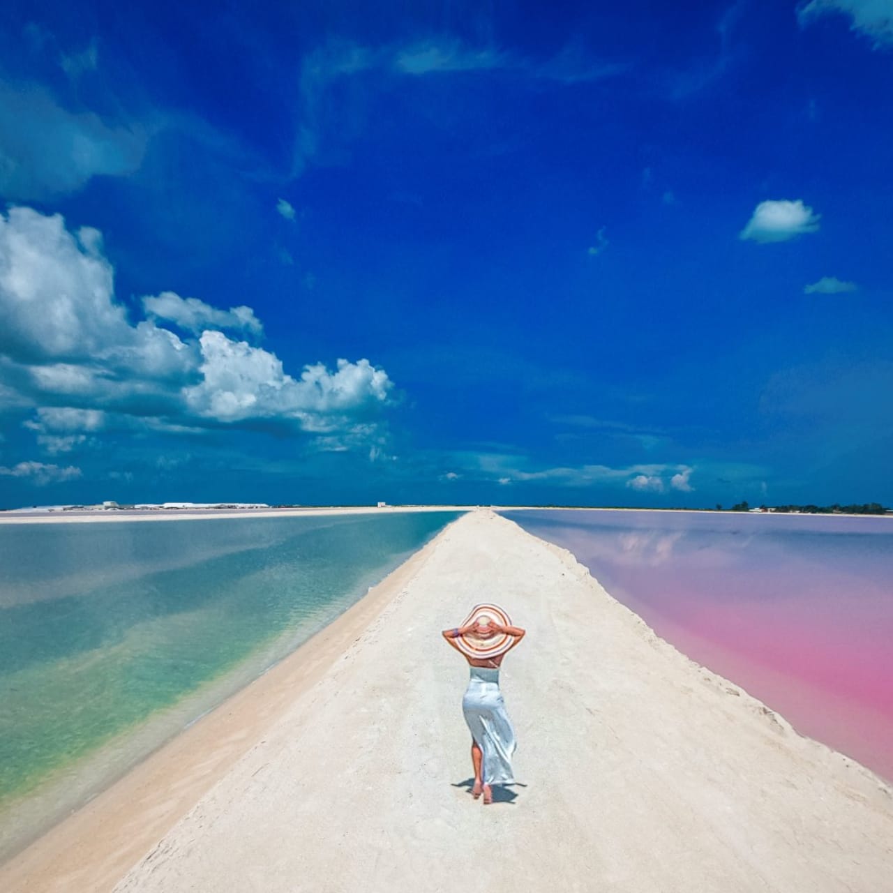 Excursion a las Coloradas y Río Lagartos — 10/17