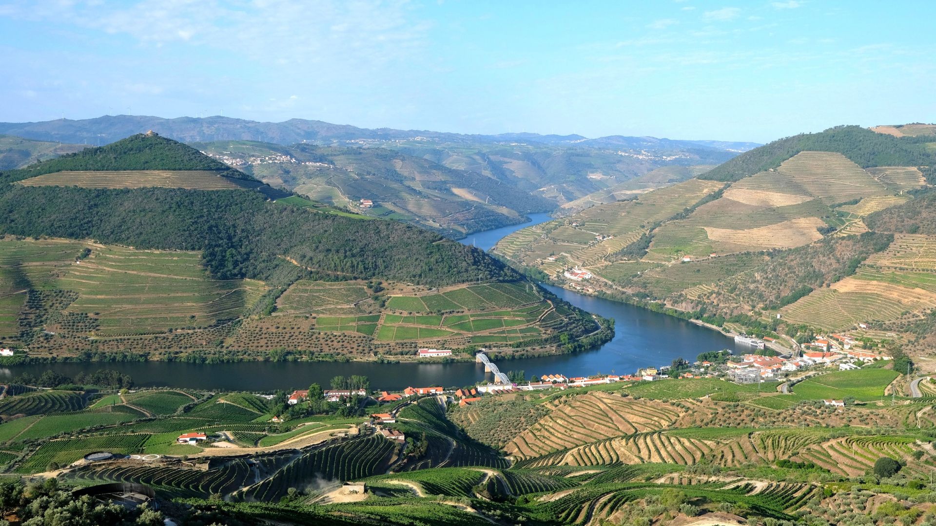 Douro Valley Small Group Tour with Wine Tastings, Lunch and River Cruise  - Photo 37