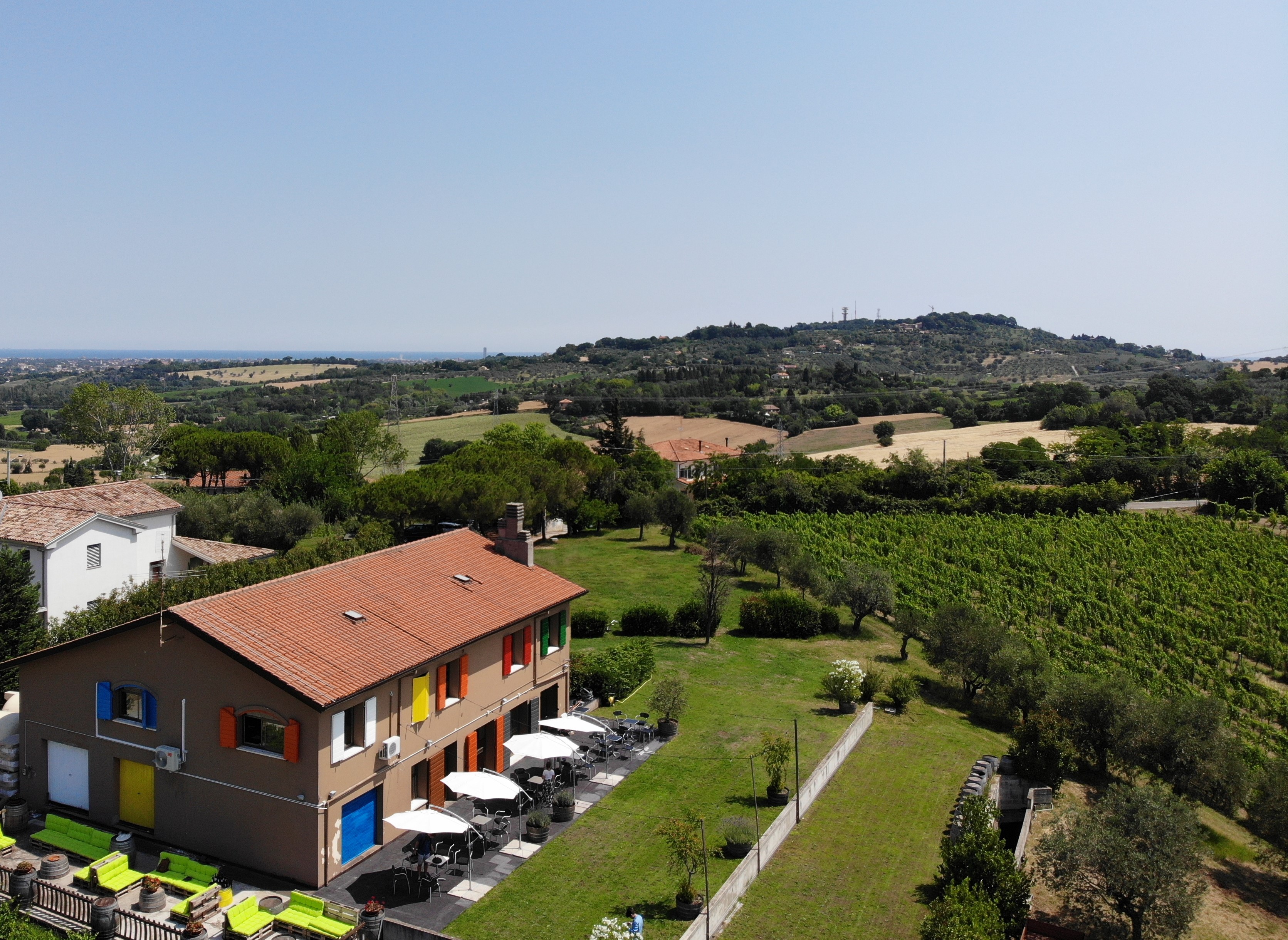 Rimini: Wine Experience – Guided Cellar & Vineyard Tour with 5 DOC Wines - Photo 5