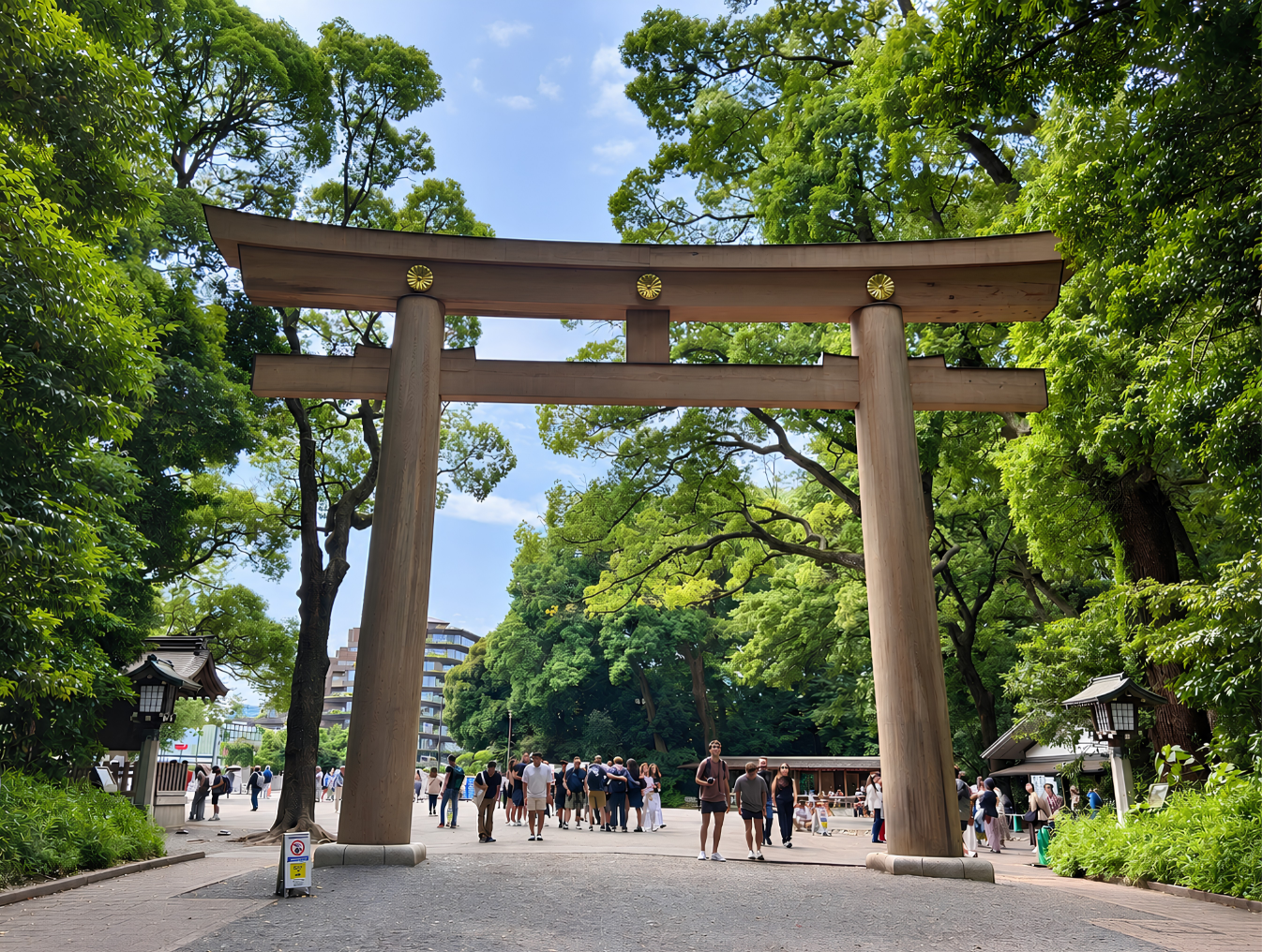 Meiji Jingu Shrine and Shinto Culture Walking Tour