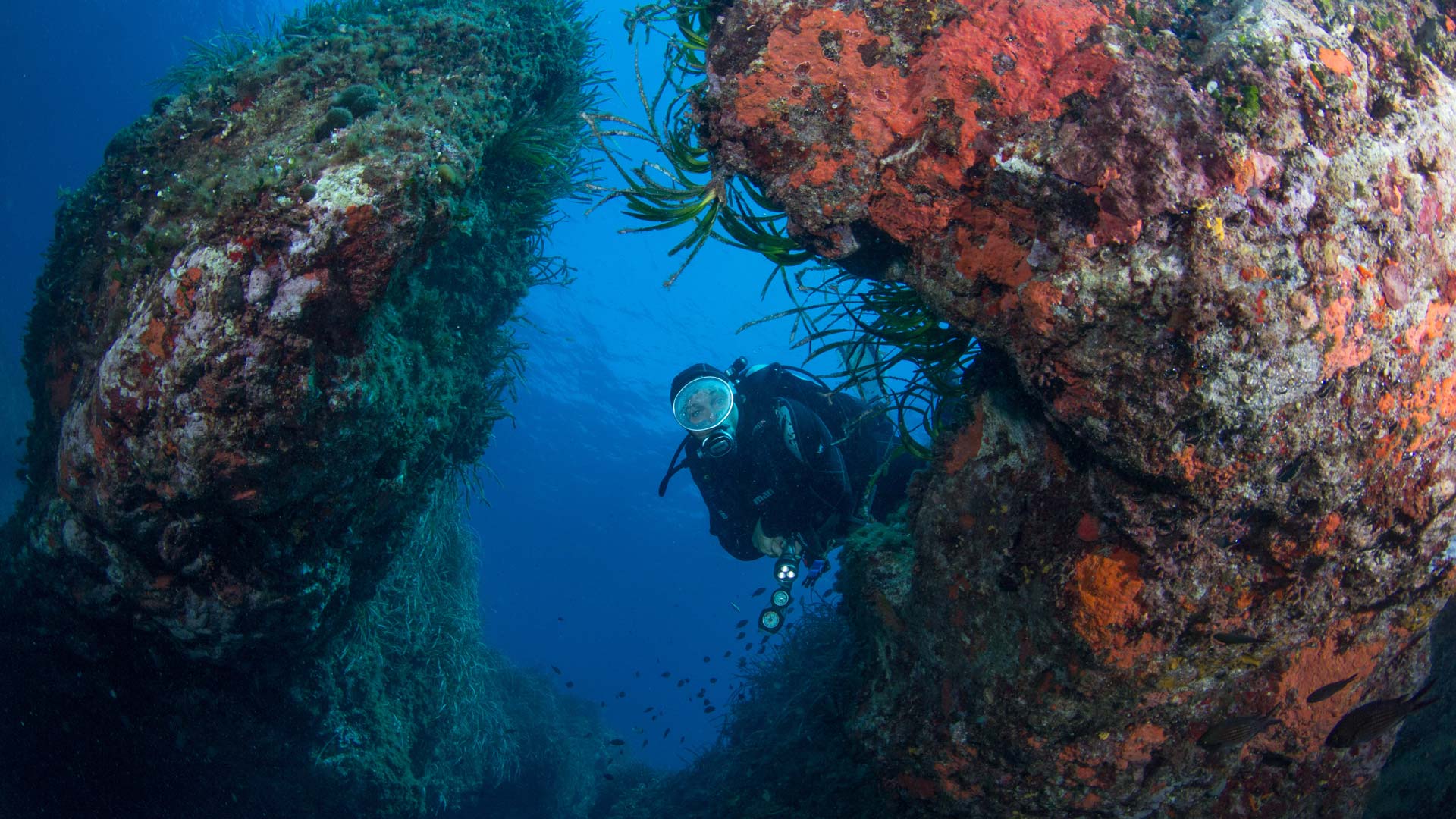 Bosa: diving baptism - Photo 24