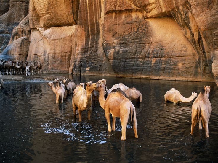Private trip to wadi El Gemal from El Quseir.