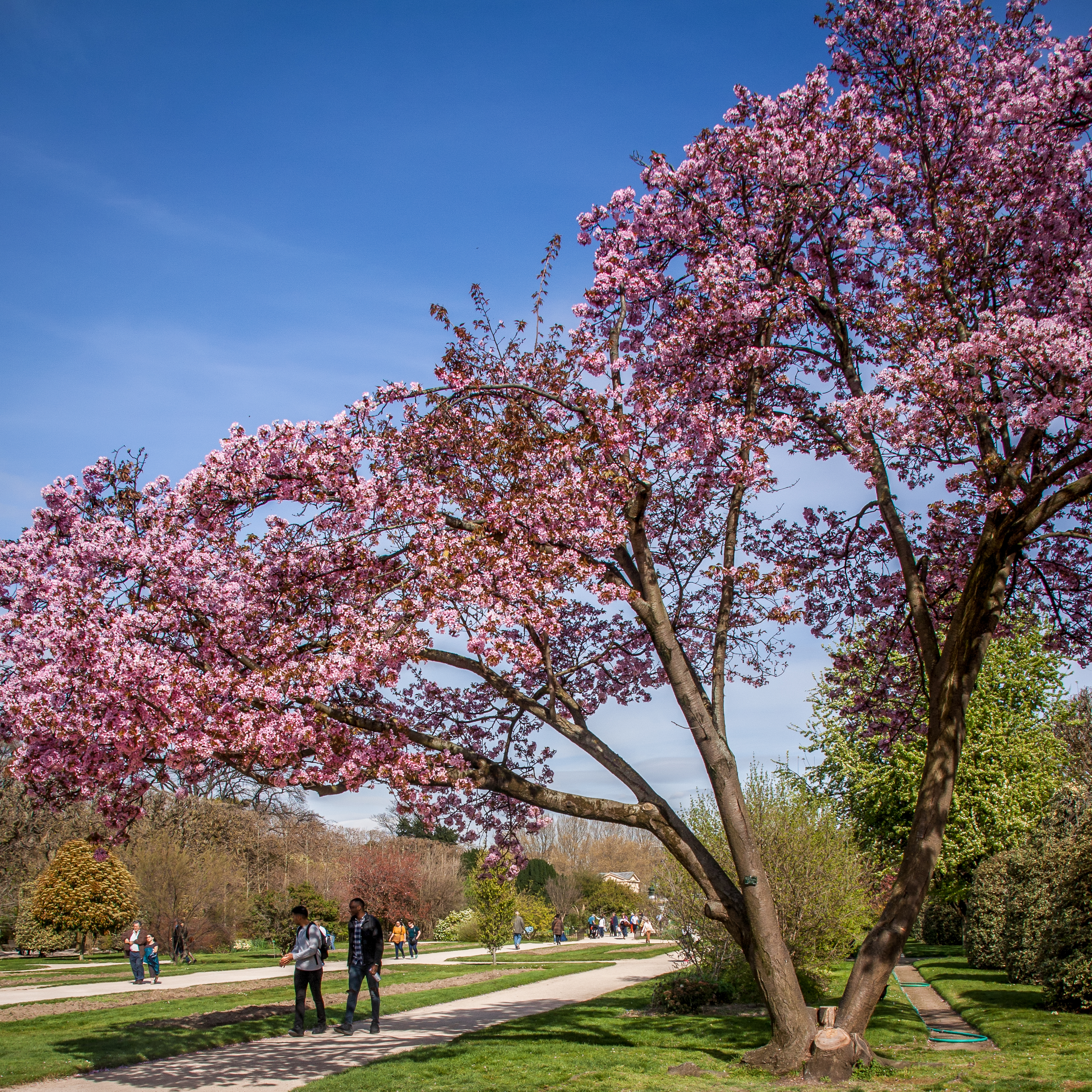 Stroll in the Jardin des Plantes (Botanical Garden) - Photo 9