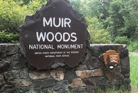 Muir Woods Small-Group Tour from San Francisco – photo 1
