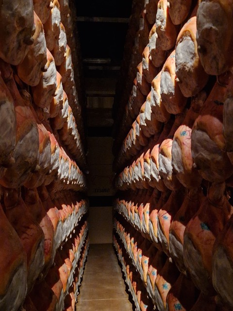 Emilia-Romagna's Typical products Tasting Tour from Parma 