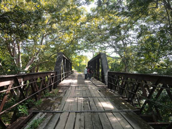Lunugamvehera National Park Shared Safari