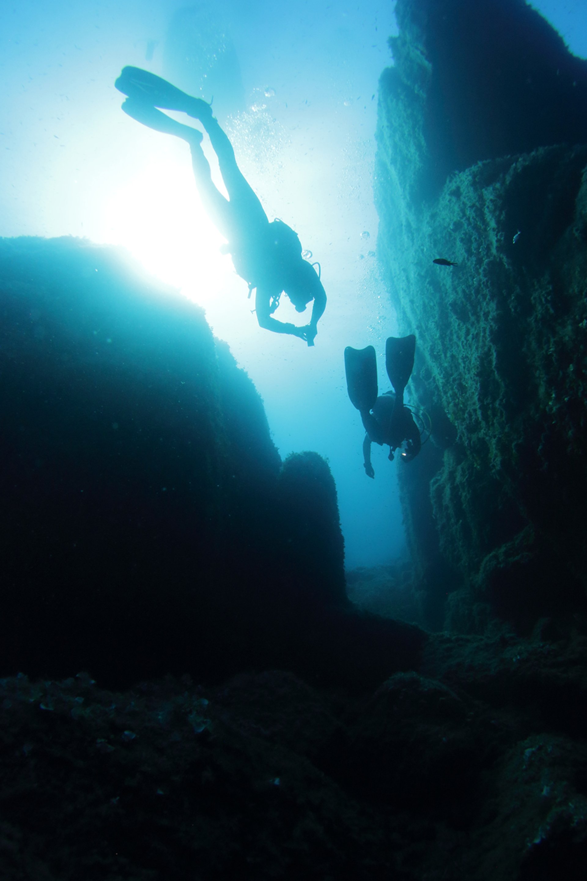 From San Teodoro: diving for professionals in Tavolara and Molara - Photo 10
