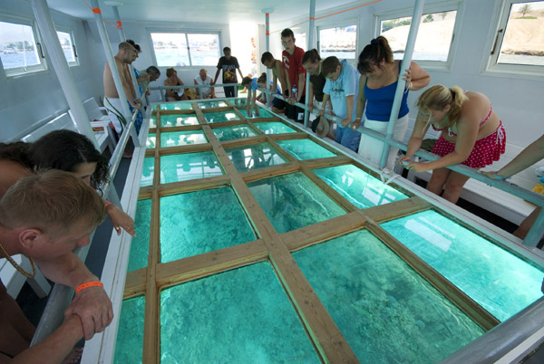 Tour en barco con fondo de cristal: explore las maravillas del Mar Rojo "Tour familiar" - Foto 3