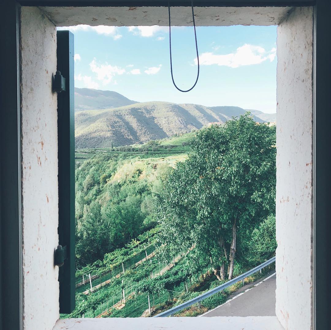 Discover DOP Olive Oil - Photo 3