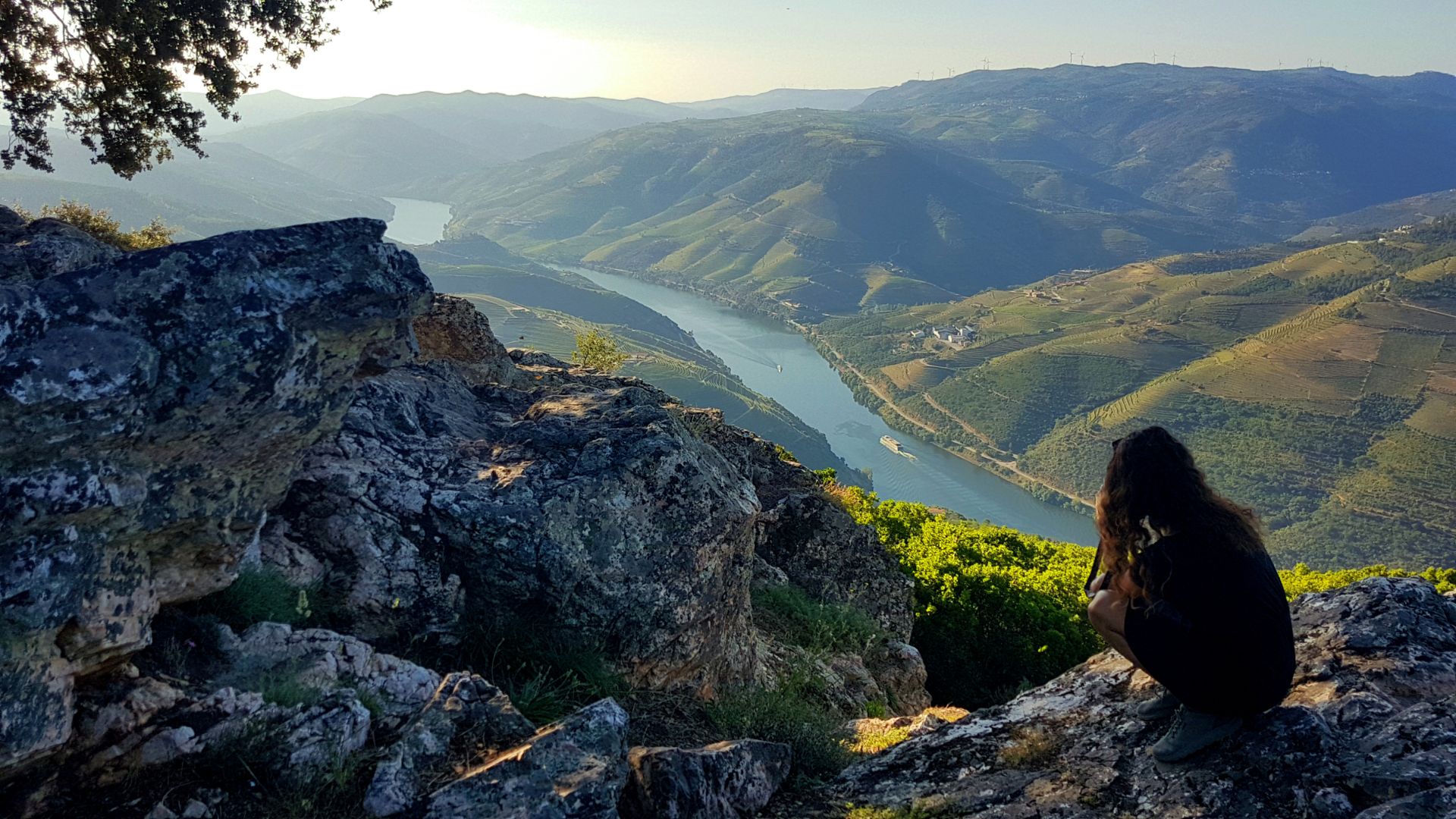 Douro Valley Small Group Tour with Wine Tastings, Lunch and River Cruise  - Photo 21