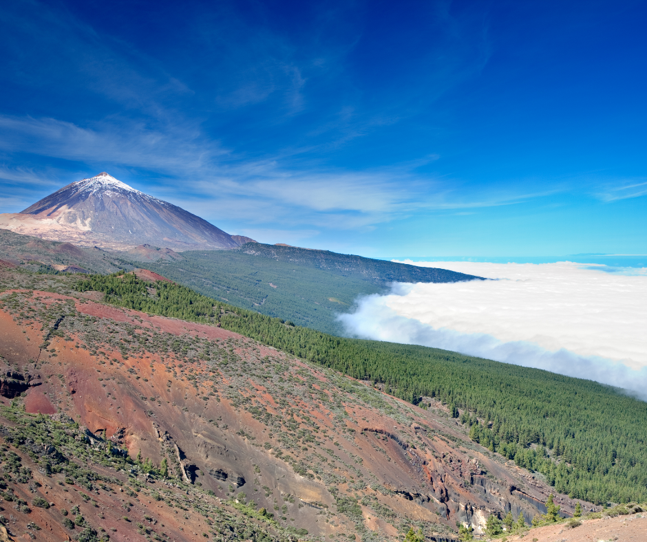 Teide y Delfines, un día mágico! - Photo 4