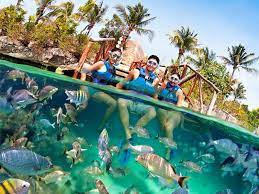Cancun City Pass ( Choices) - Photo 22