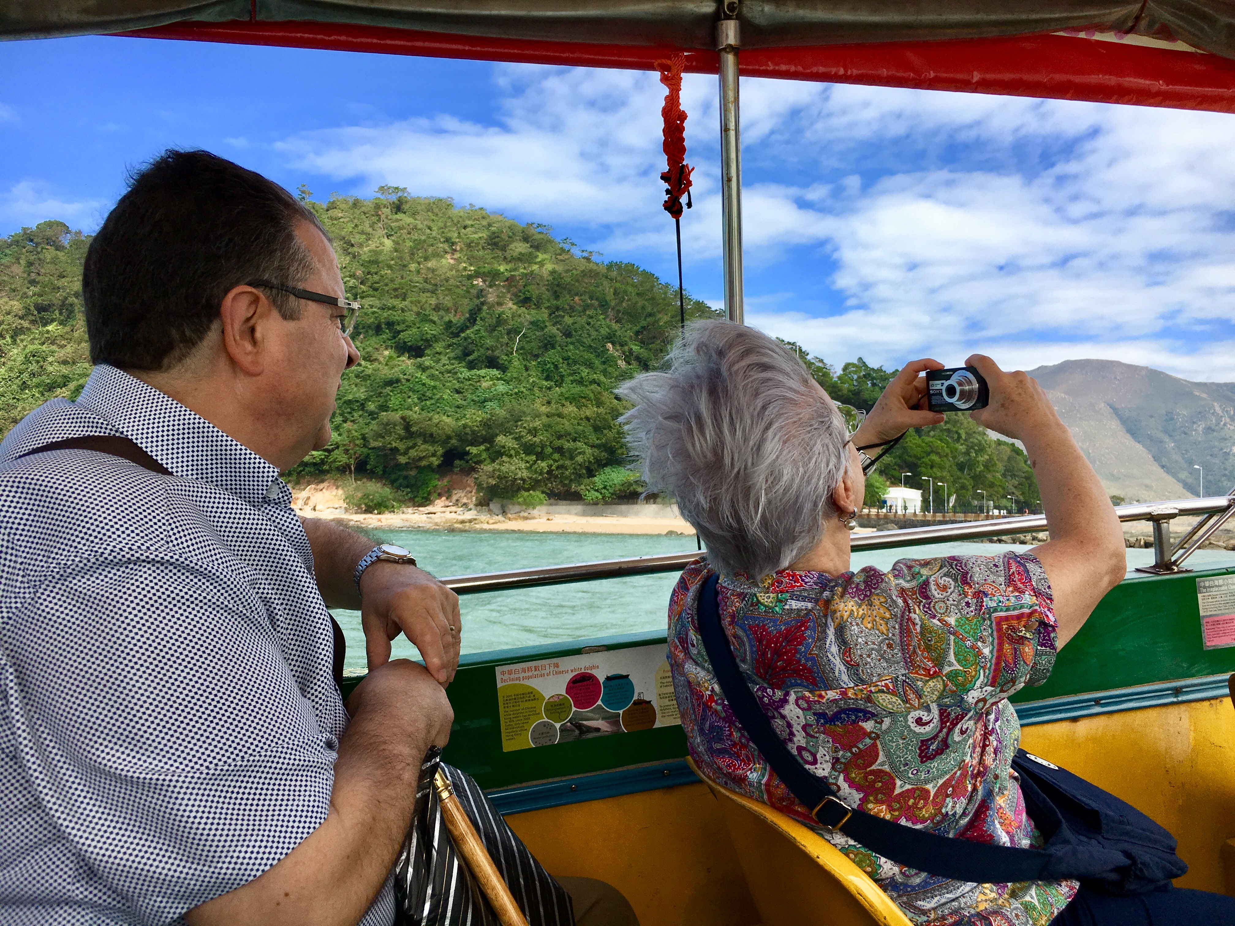 Cruise Layover Tour: Giant Buddha on Lantau Island in Private Service - Accommodations in Hong Kong