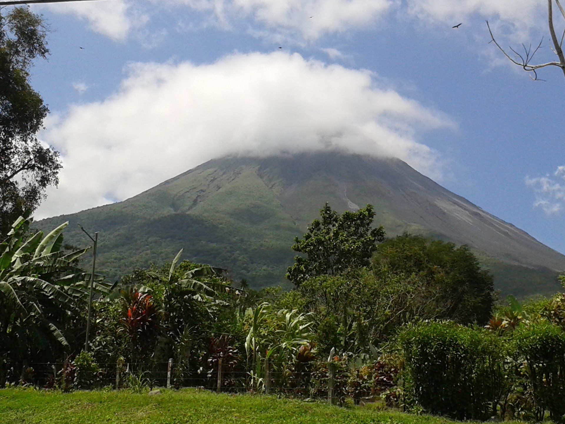 Pura Vida Escape 7-Day Costa Rica Private Tour: Arenal & Monteverde | Medium – photo 1