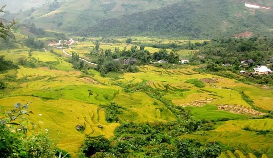 Combo Package Tours: Hanoi - Sapa- Halong Bay ( 8 days 7 nights)