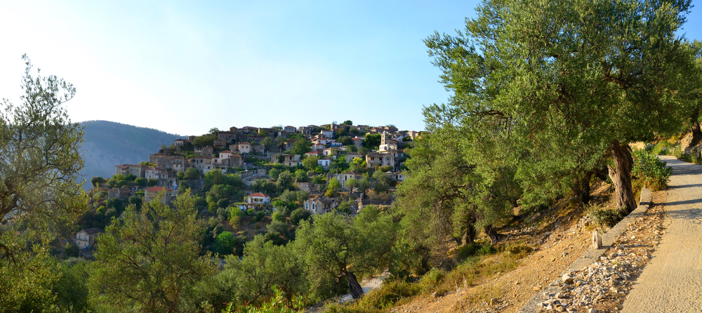 Daily trip in South Albania- Qeparo and Himara -Small group - Photo 4
