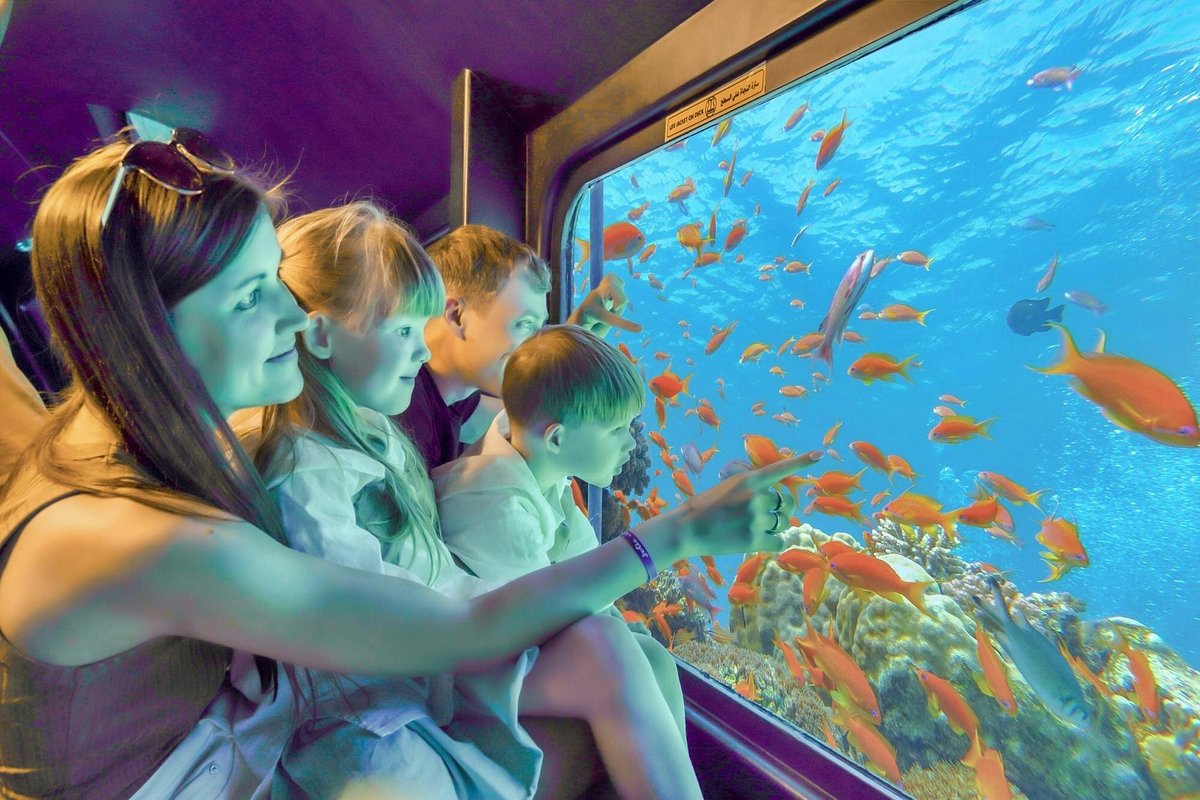 Excursión en Semi-Submarino Royal Sea Scope en Hurghada