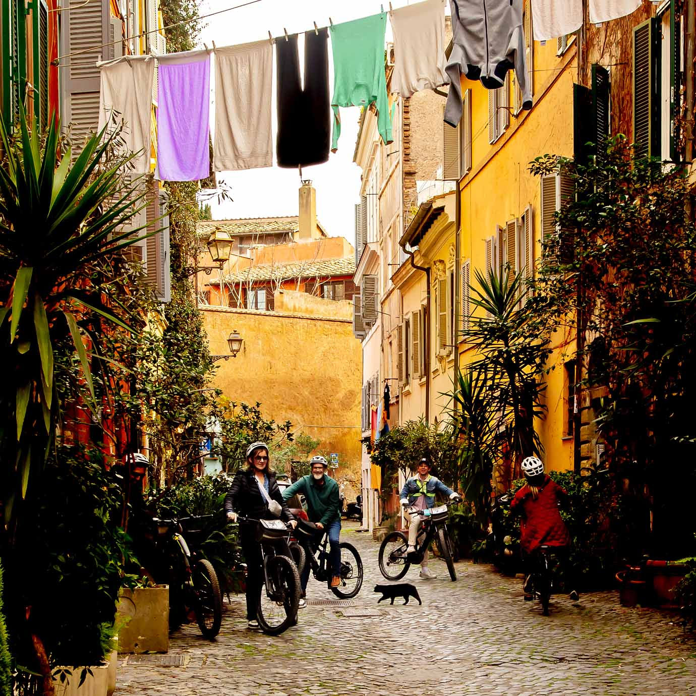 One-Day WOW Private Experience with Biking, Lunch, Golf Cart Tour, VIP Colosseum Access and Rooftop Aperitivo - Photo 28