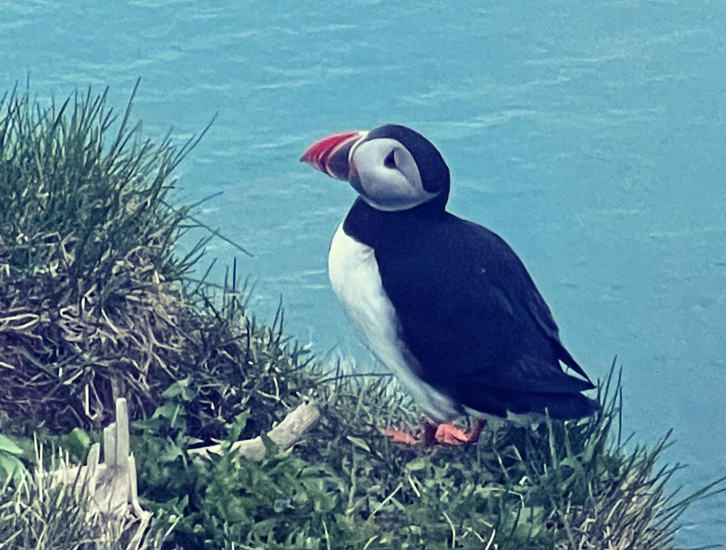 Private South Coast to Vík - photo 7