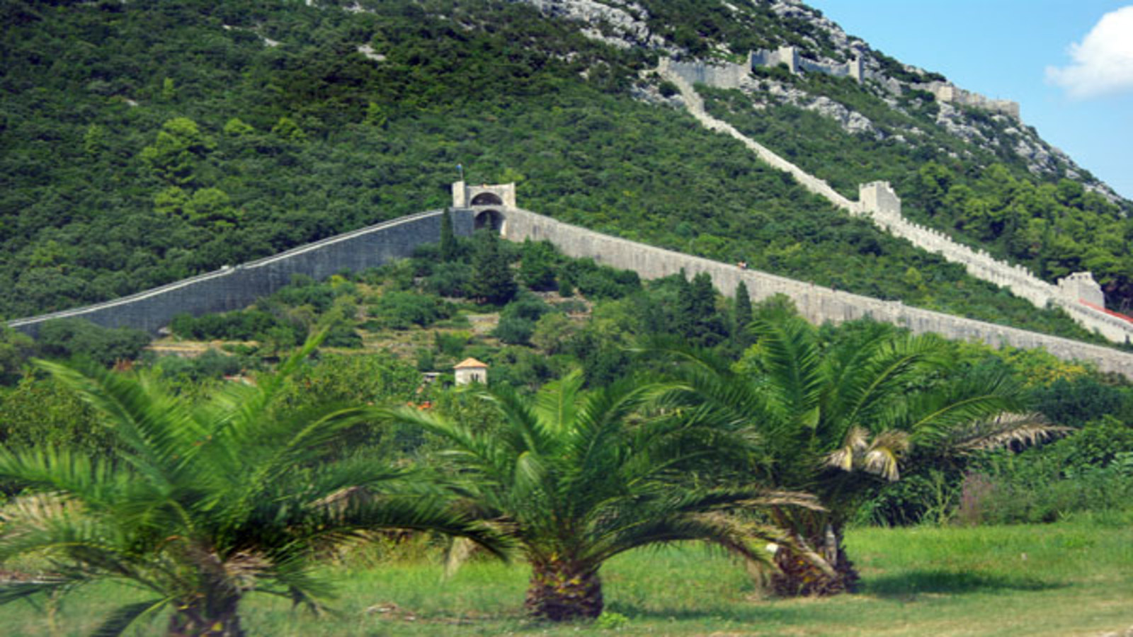 Wine tasting and visit to Ston - Photo 5