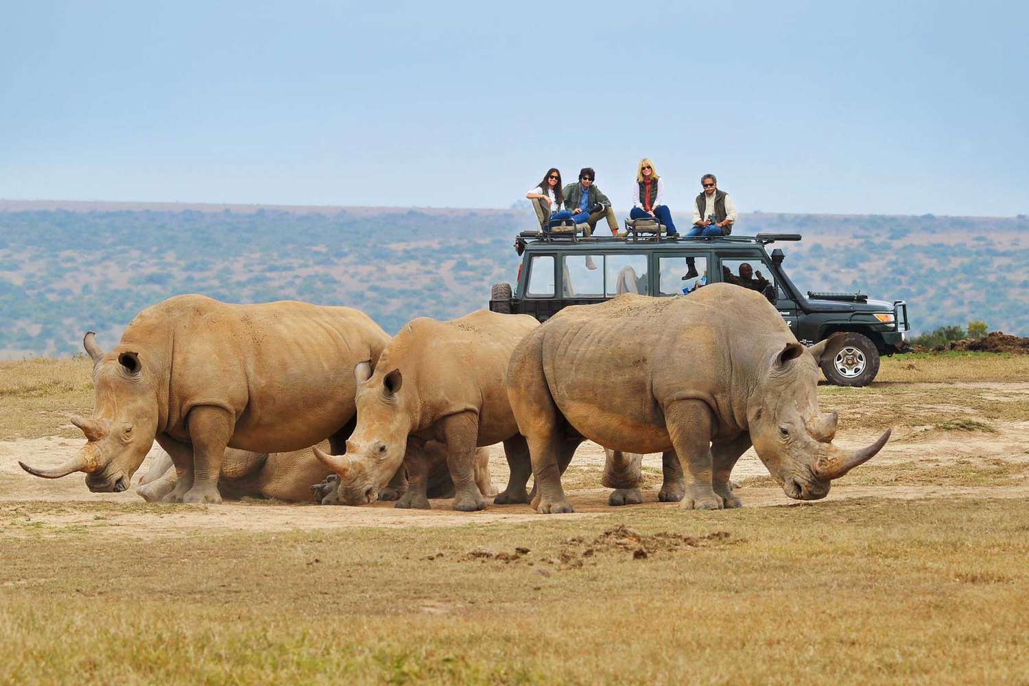 1-Day Akagera Private Safari from Kigali