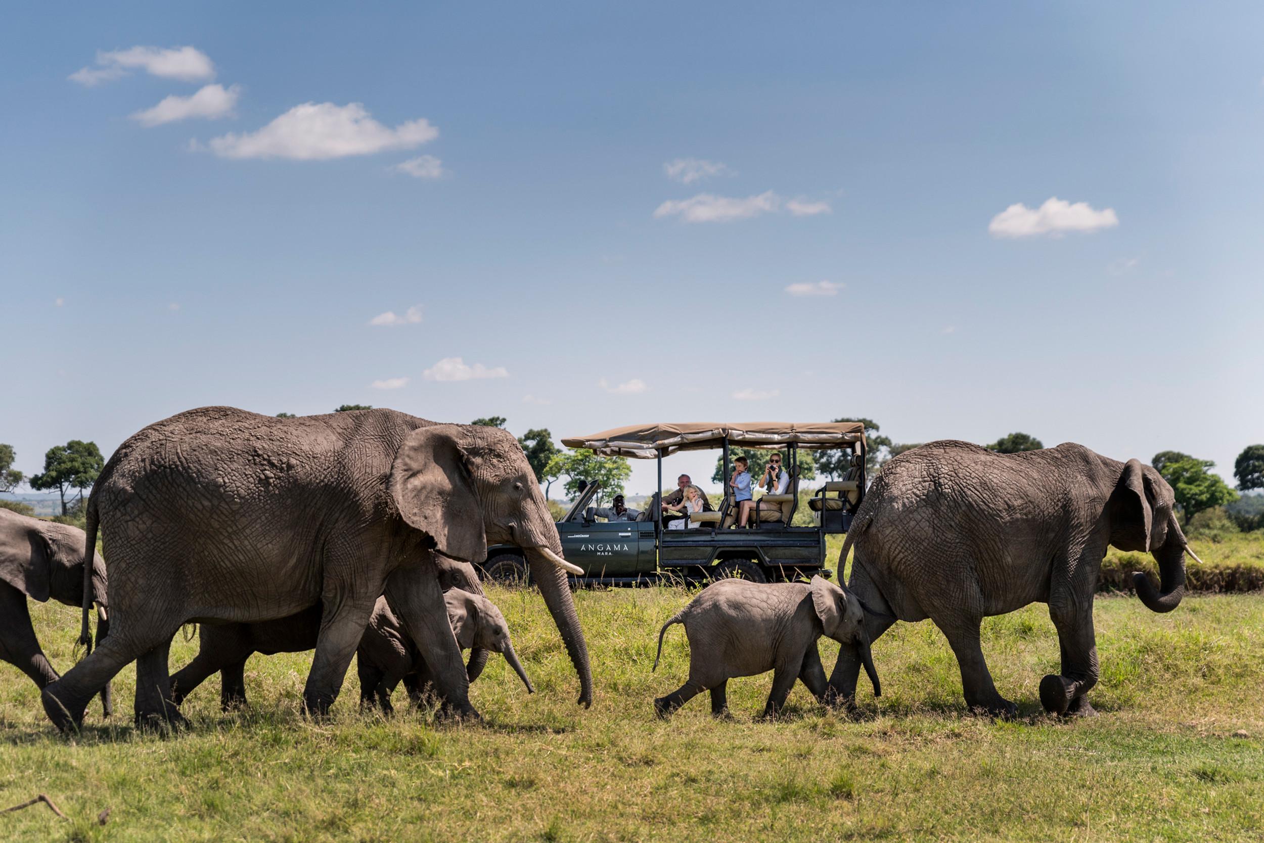 11-Day Kenya Safari & Double Gorilla Trekking – photo 4