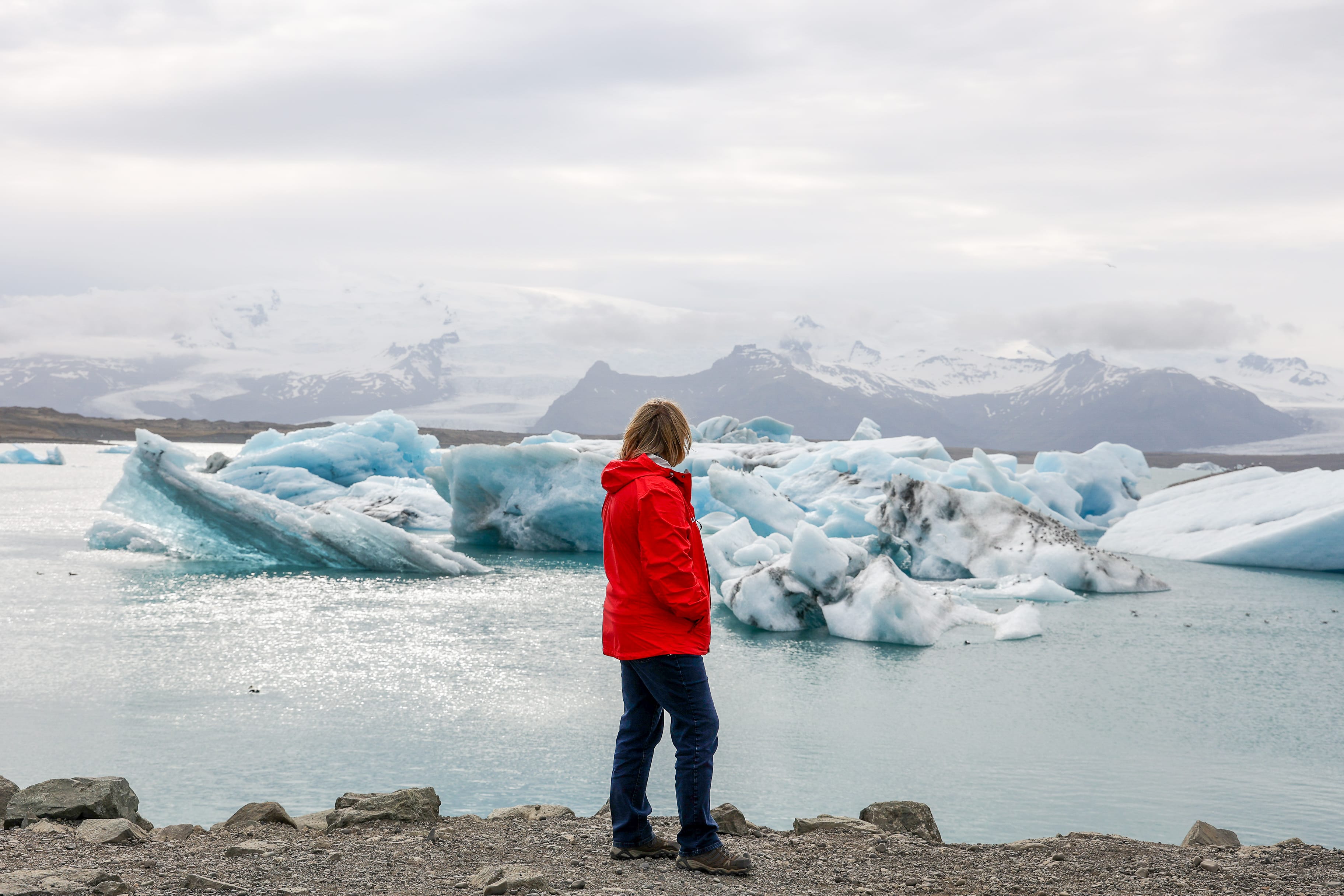 Private Glacier Lagoon, Diamond Beach & South Coast - photo 12