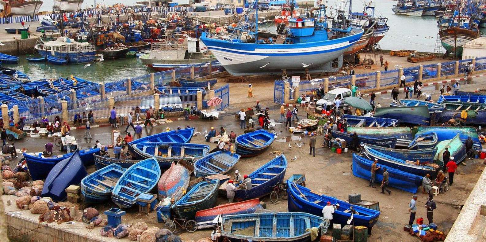 from agadir : Essaouira - guided day trip 