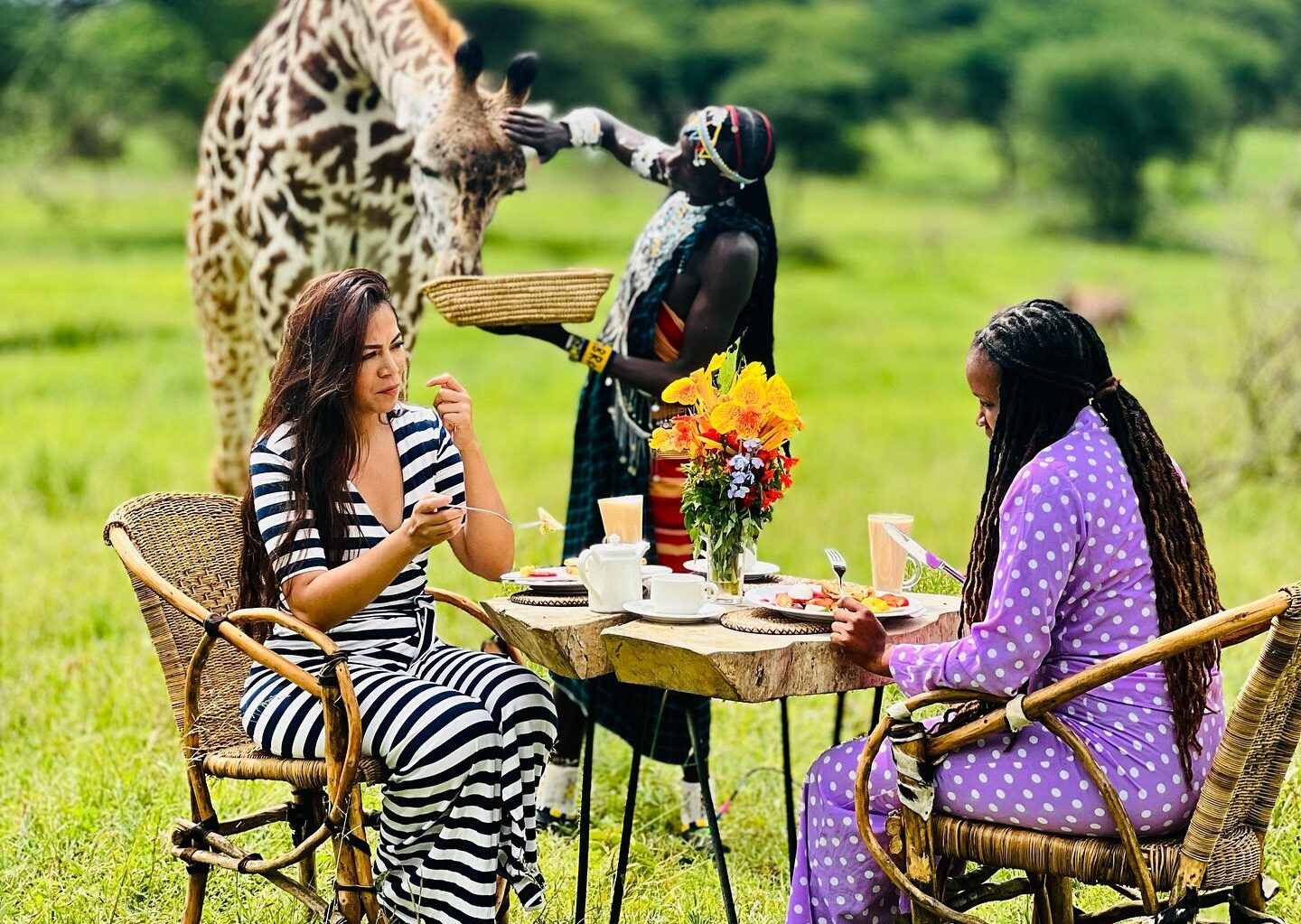 Excursión de un día al Santuario de Vida Silvestre Serval desde Arusha - Foto 5