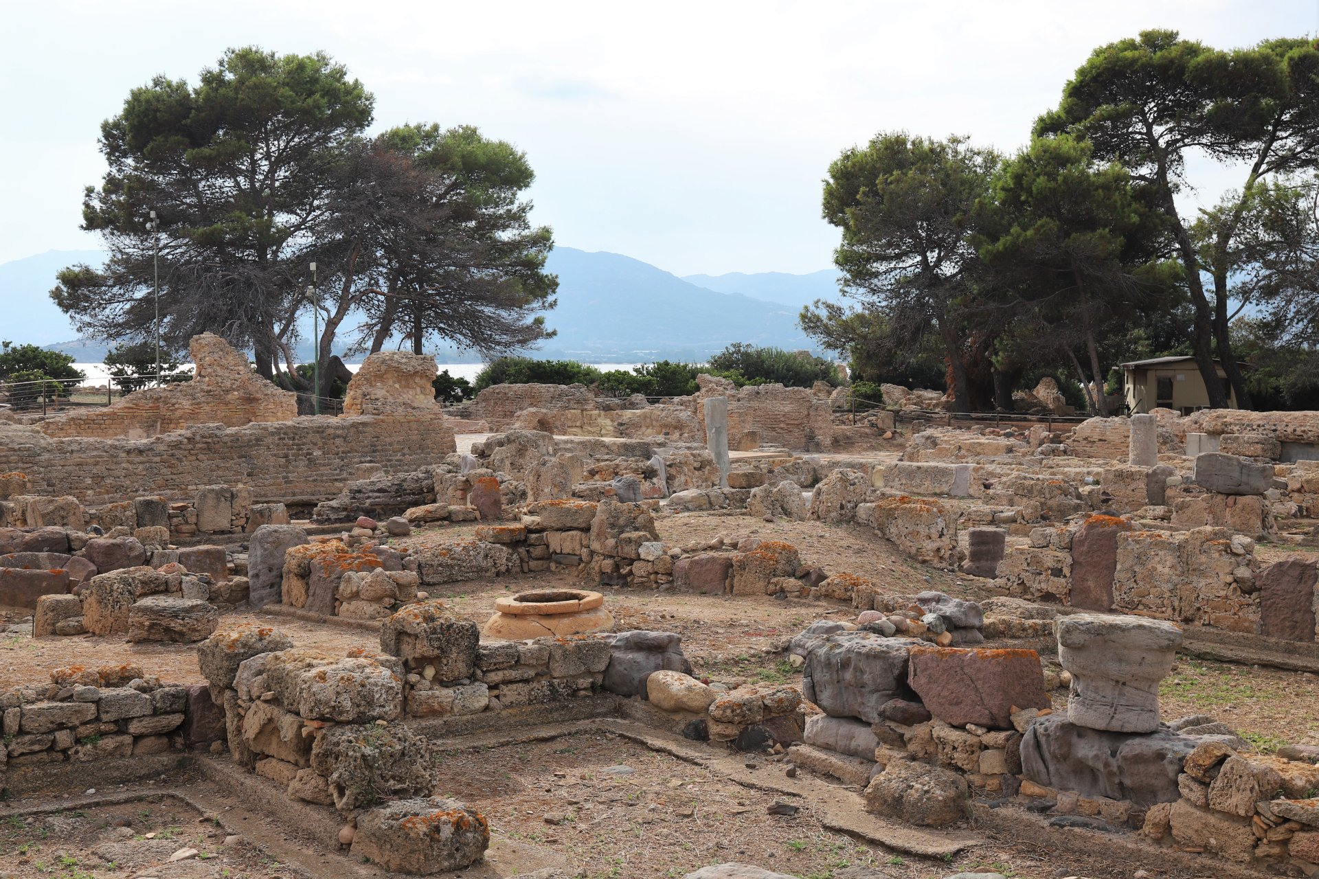 Cagliari: tour of the archaeological site of Nora - Photo 2