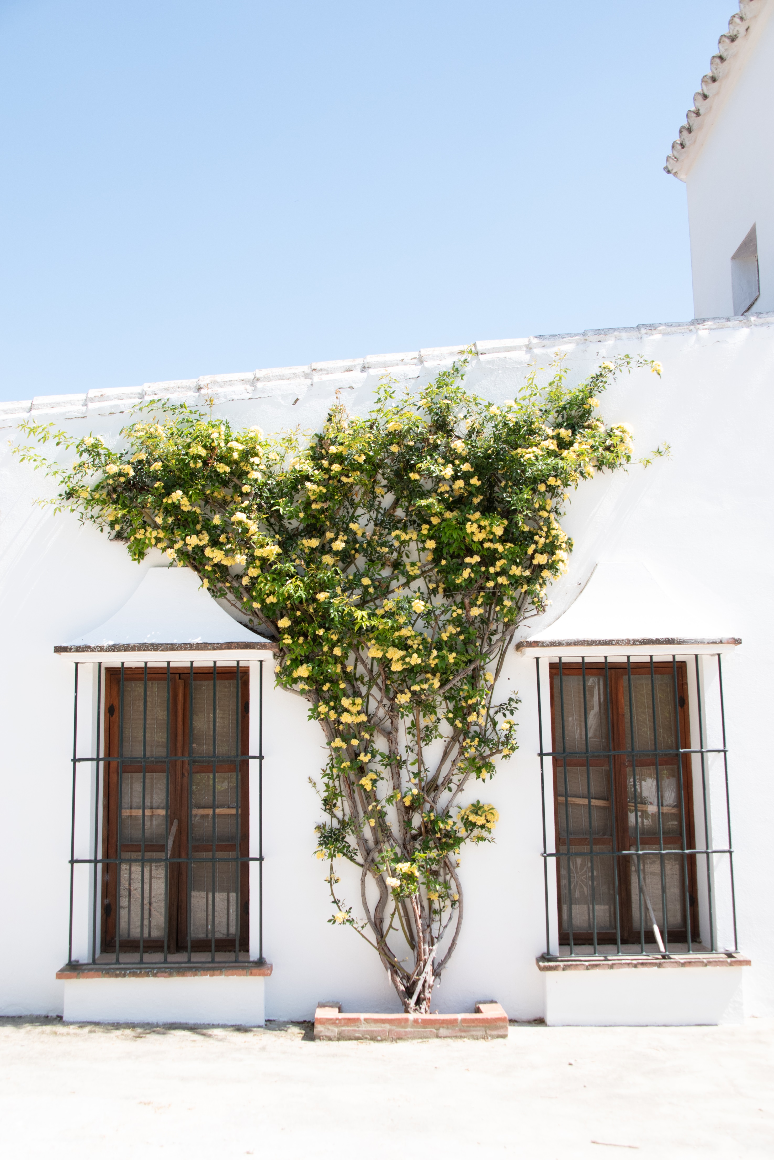 From Seville: Visit Traditional Oil Mill - Foto 4