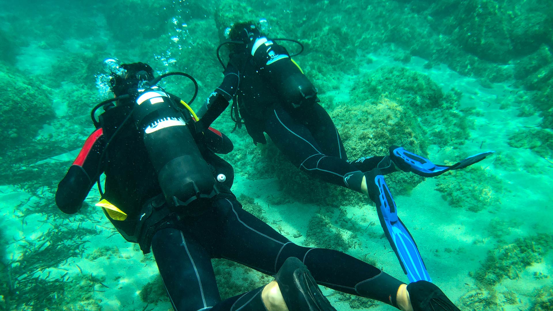 Bosa: diving baptism - Photo 21