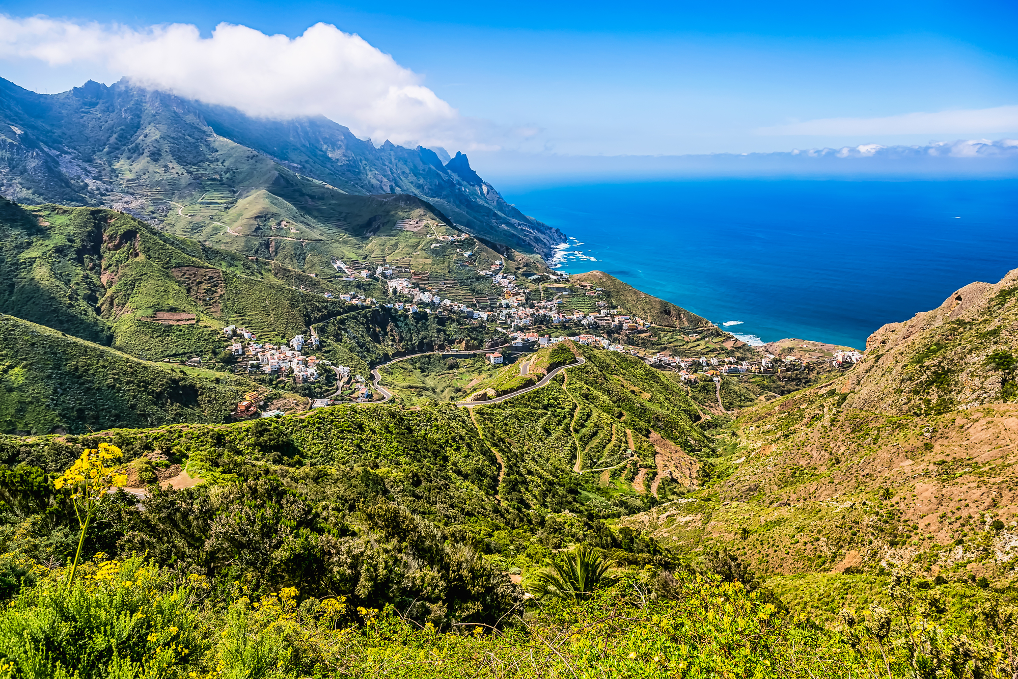  Best of Tenerife – full-day small-group shore excursion  - Photo 6