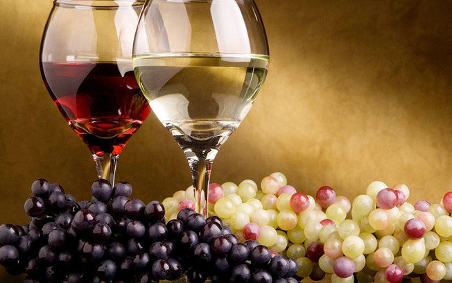 Guided tour of Txacoli wine tasting and tasting of wine and typical products