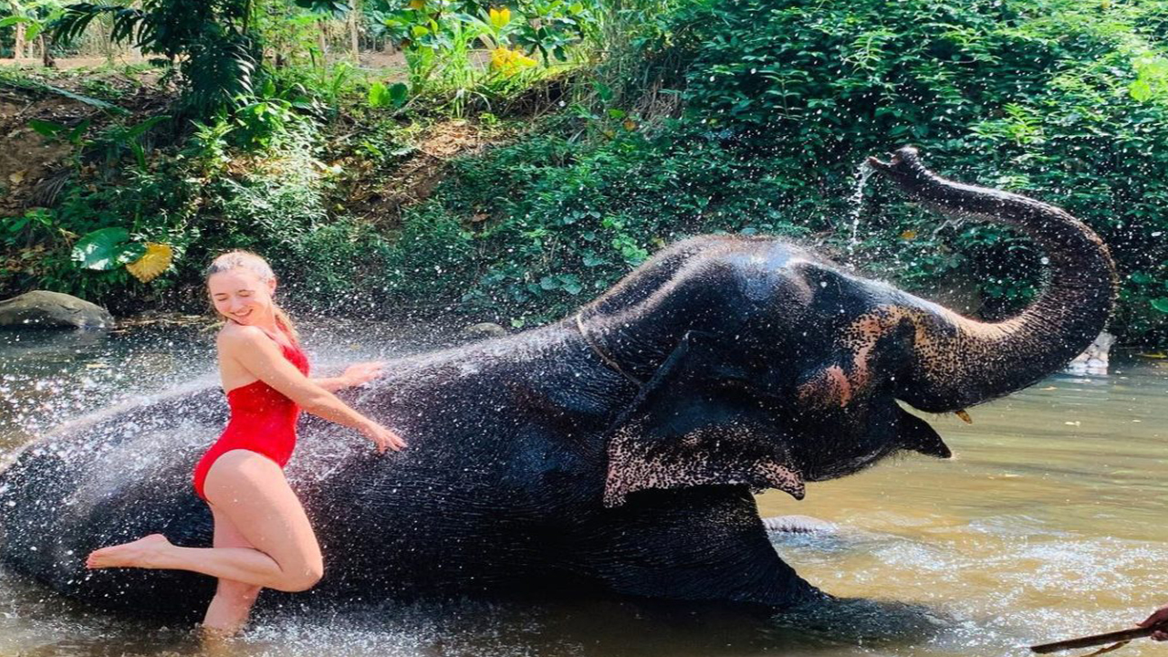 Millennium Elephant Foundation and Kandy Tour from Negombo