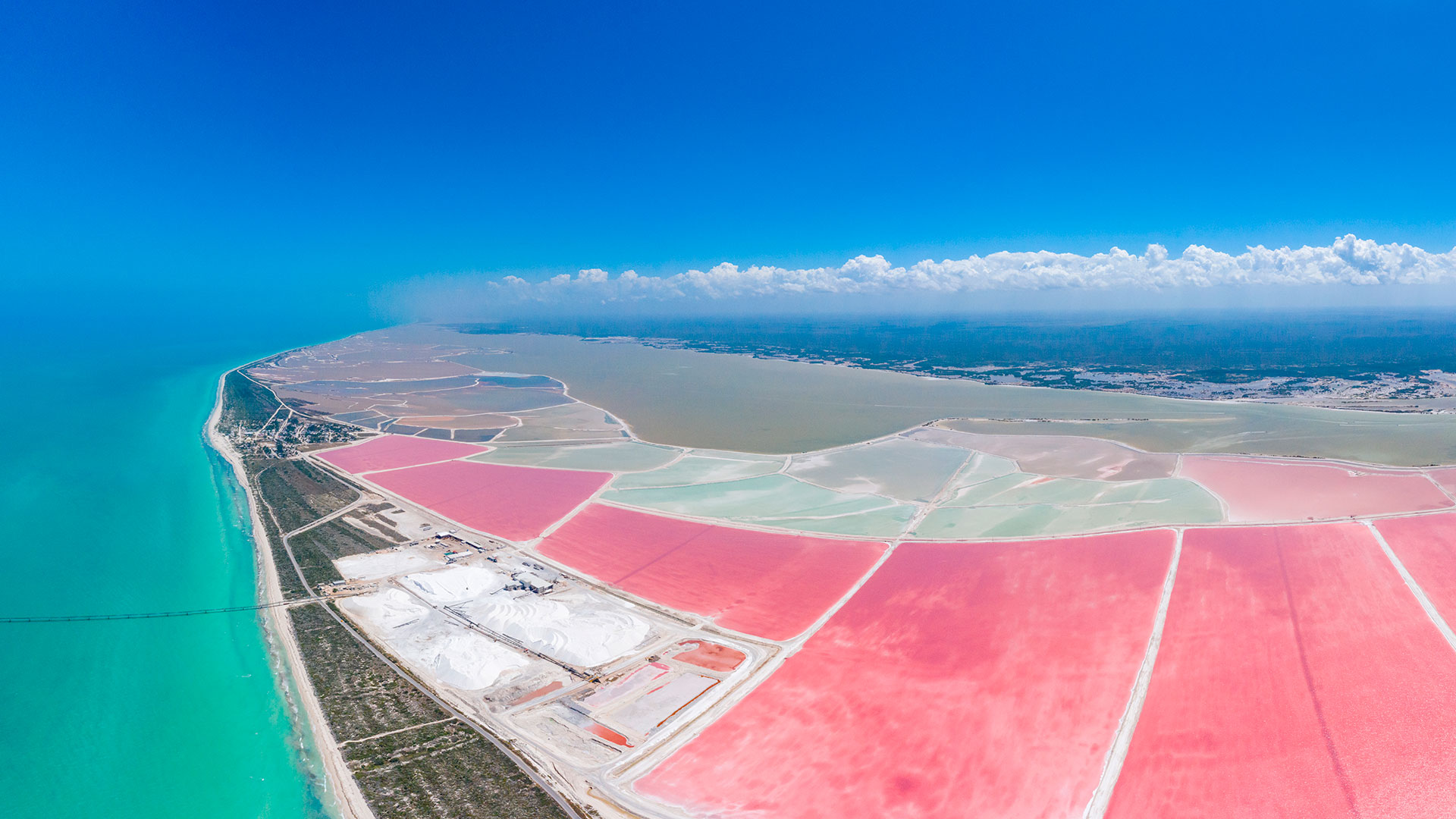 Desde Riviera: Río Lagartos y Las Coloradas 2
