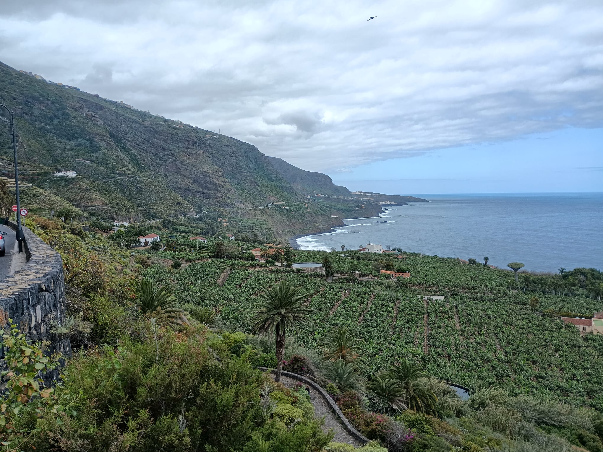 Excursion privada Paisajes y contrastes por la costa norte de Tenerife - Photo 15