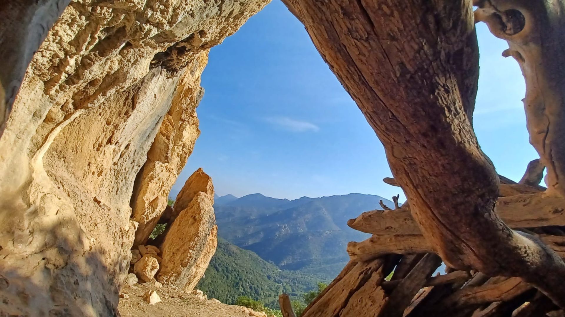 From Urzulei: trekking in the Gorropu canyon - Photo 3