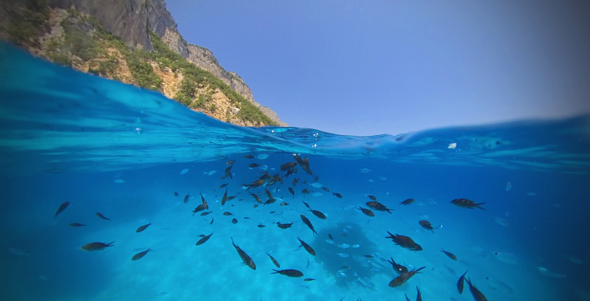 From Cala Gonone: boat trip in the Gulf of Orosei - Photo 2